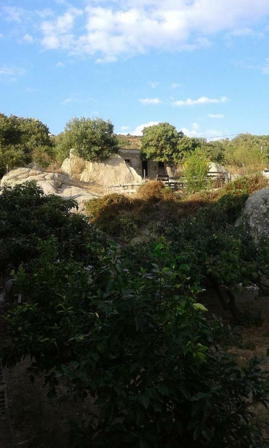 La Collina Dei Ciliegi Bed & Breakfast Sarule Luaran gambar
